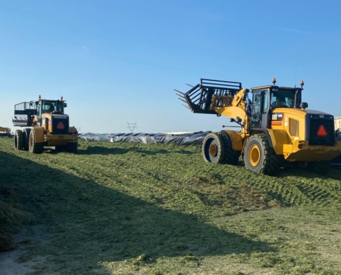 Inkuilen bij Veehouder in Biddinghuizen