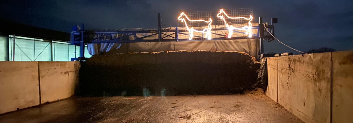 Geiten op ruwvoer met Kerst 2020