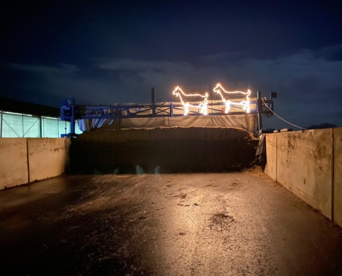 Geiten op ruwvoer met Kerst 2020