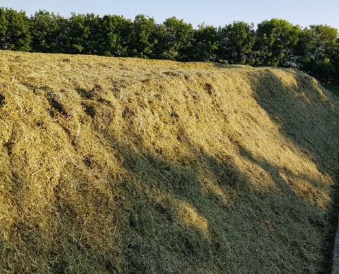 Kornet Beton Balk - 1. Binnenkant_zijkant folie tegen lucht en vocht in het ruwvoer